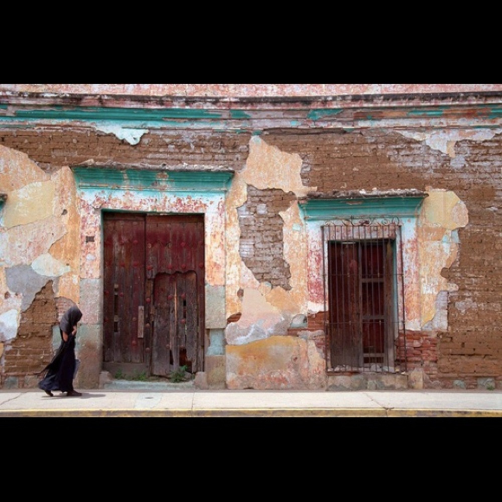 Black Widow by Tomas Spangler